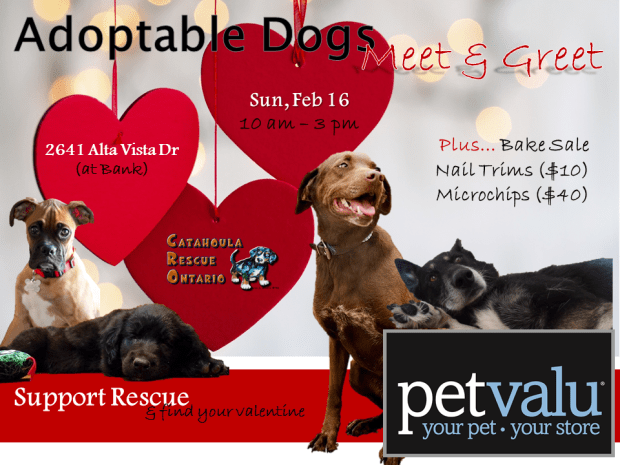 CRO DraftPoster Pet Value Feb 16 ALTA VISTA