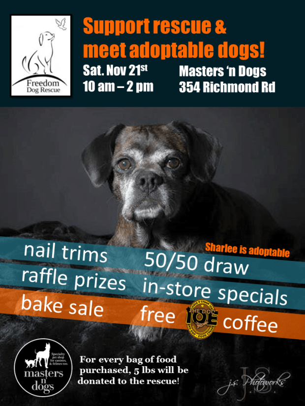 DraftPosterFreedomNov21MND