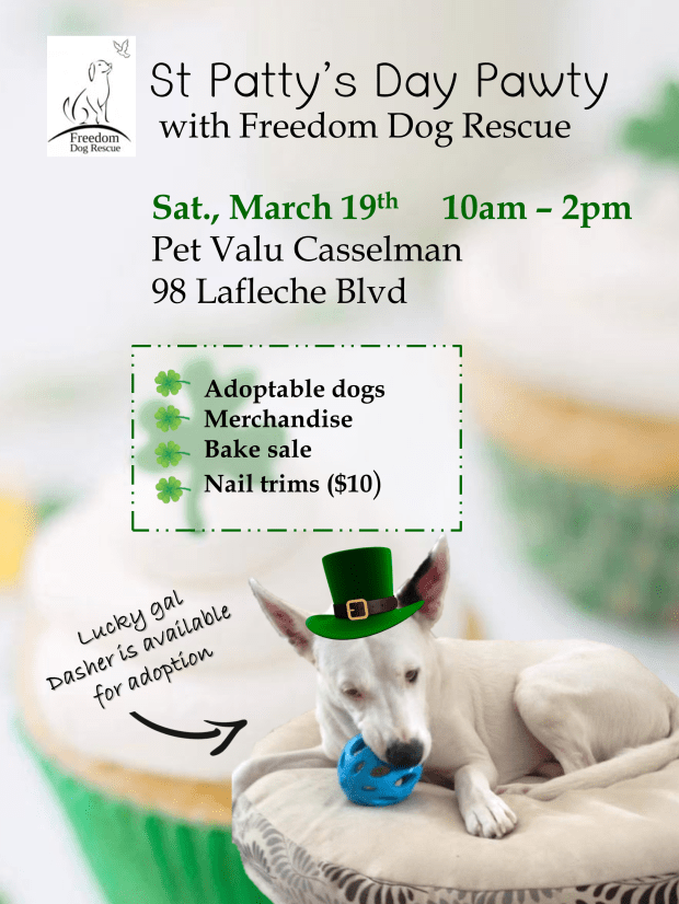 FreedomMarch19CassDasherV3